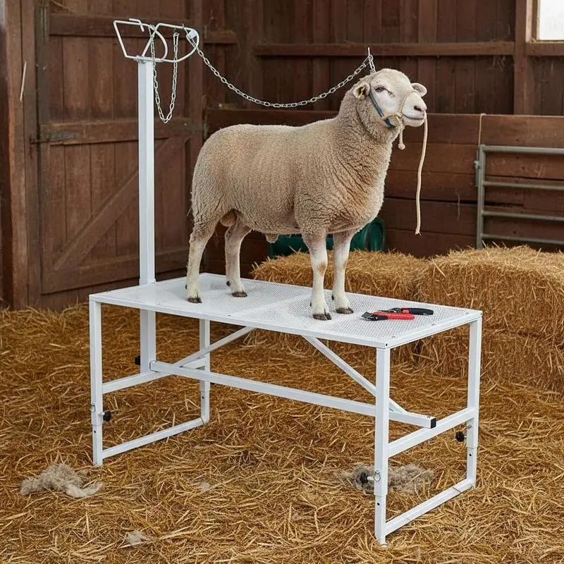 

Goat & Sheep Stand, 47x23 inch Livestock Stand, Metal Livestock Milking and Shearing Stand 21" to 33" Adjustable Height, with Headpiece and Nose Loop, 500lbs Loading Weight, White