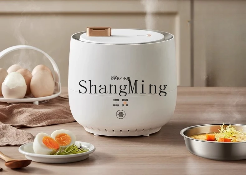 ZYY Home New Breakfast Machine Multifunctional Hot Spring Egg Boiled Egg Artifact