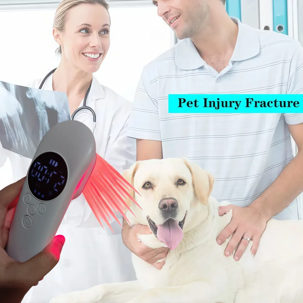 Professional Therapeutic Laser HLKGO 808nm 650nm 880mW for Pain Relief Cold Physiotherapy Massager