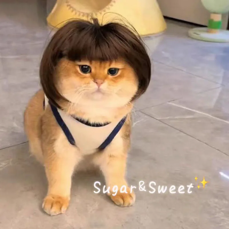 Cat Wig Accessories Dog Headdress Funny Costume Puppy Cosplay Dress Up Cute Pets Hair Set Funny Props Head Accessories