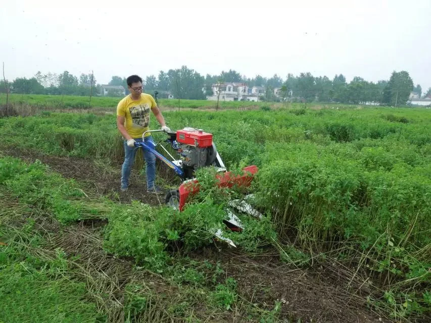 Rice Wheat Reaper Mini Reaper Walk Behind Harvester With 6.5HP Diesel Engine