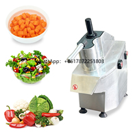 Commercial Kitchen Multifunctional Electric Fruit Vegetable Processor Home Use Onion Dicer Grater Cutter Machine Fruit Vegetable