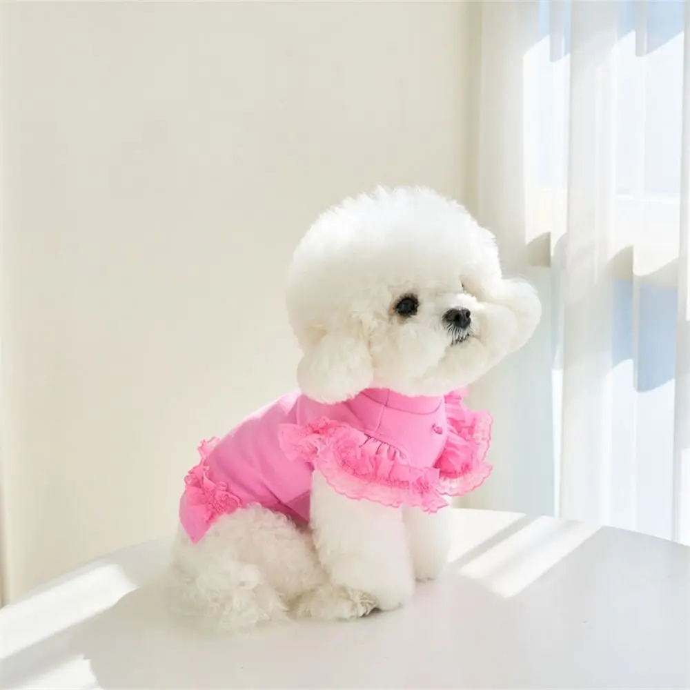 Comfortable Lace Pet Summer Vest Soft Breathable Cat Base Skirt Flying Sleeve Pet Dress Spring view 2
