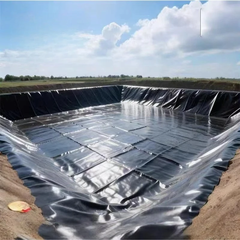 Heavy Duty HDPE Geomembrane Sheet Customized for Fish Pond Dam Canal Reservoir Landfill and Mining Applications