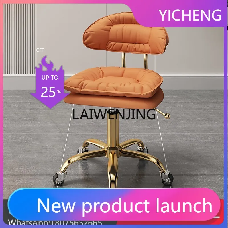 LYY beauty lift pulley hair manicurist home back chair
