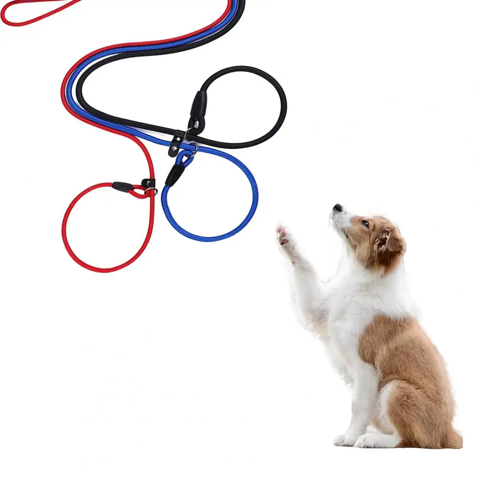 Dog Leash Strong Slip Lead Adjustable Loop High-density Nylon Braided Rope Training Leash for Large Medium Small Dogs