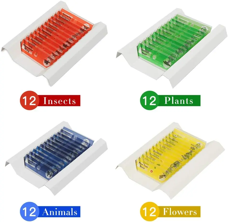 Microscopic slices, animals, insects, plants, flowers, biology, children's learning resources, basic science education