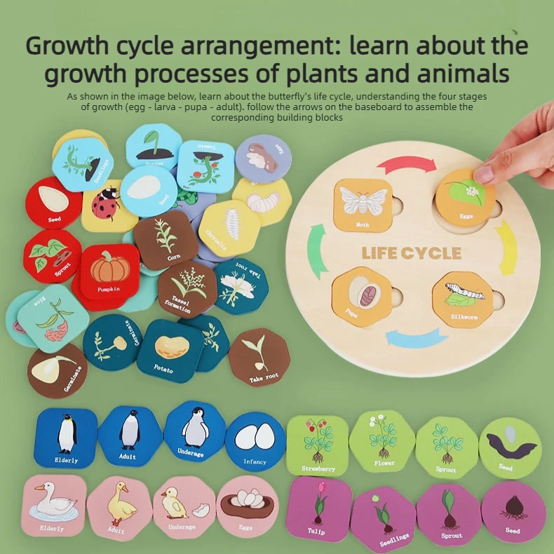Quebra-cabeça de madeira com 1 - Kids Toys Cycle avaliação e preço