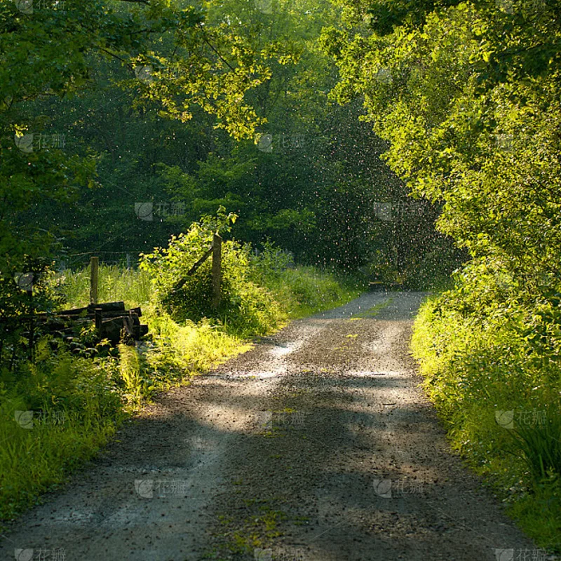 

2pcs/set Kids Girls Red Bow Cherry Plaid Baby Girls Hair Clip Series Bow Floral Children BB Pin Clip Sweet Hair Accessories