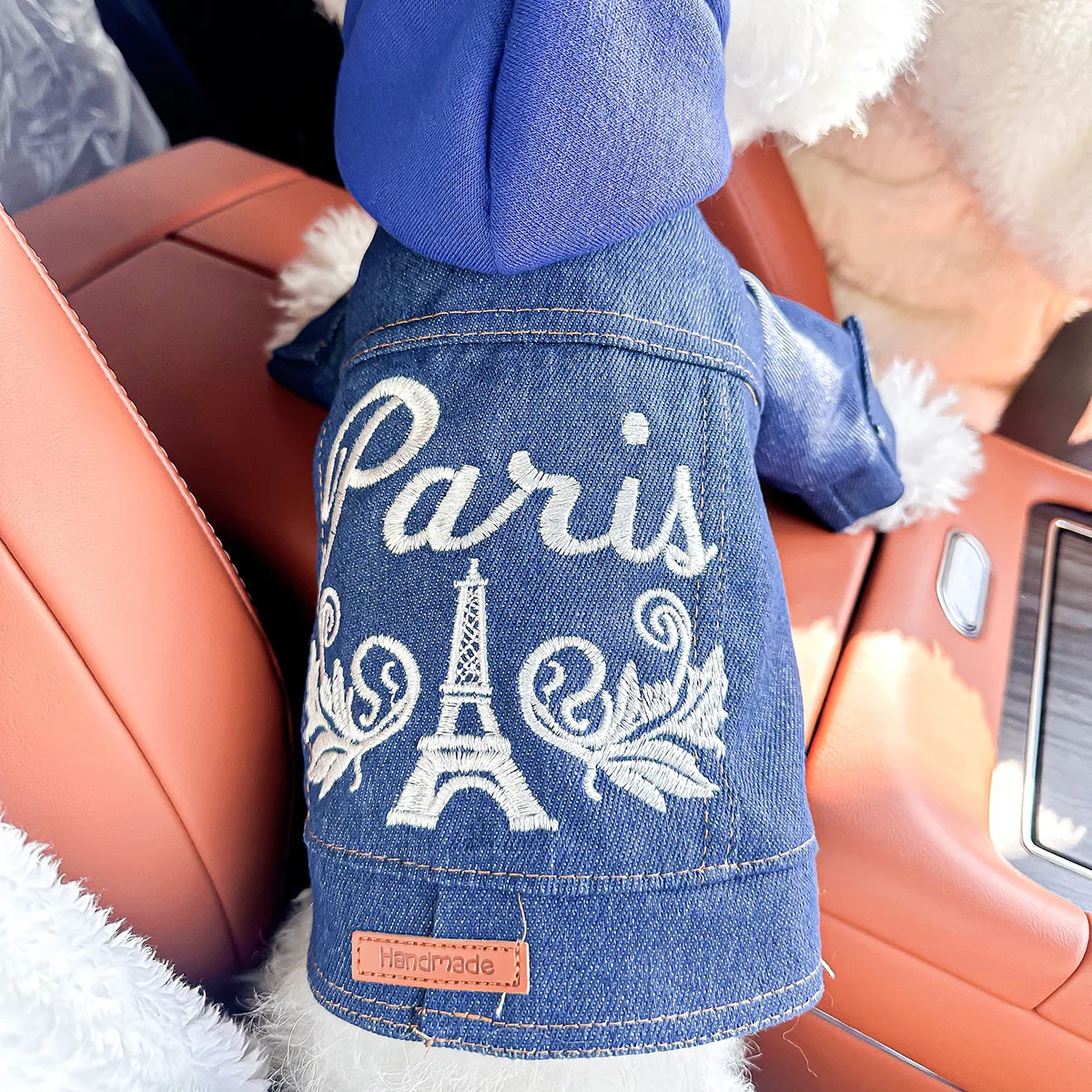 paris-denim-jacket