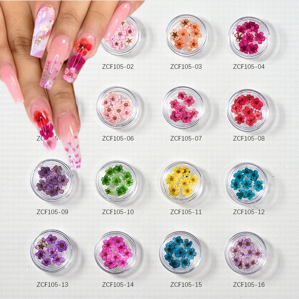 1 Bottles Real Dry Dried Flower Charms 5D Dry Flower Nail Japanese Five Petal Flower UV Gel Acrylic Nail Art Tips Decoration ##