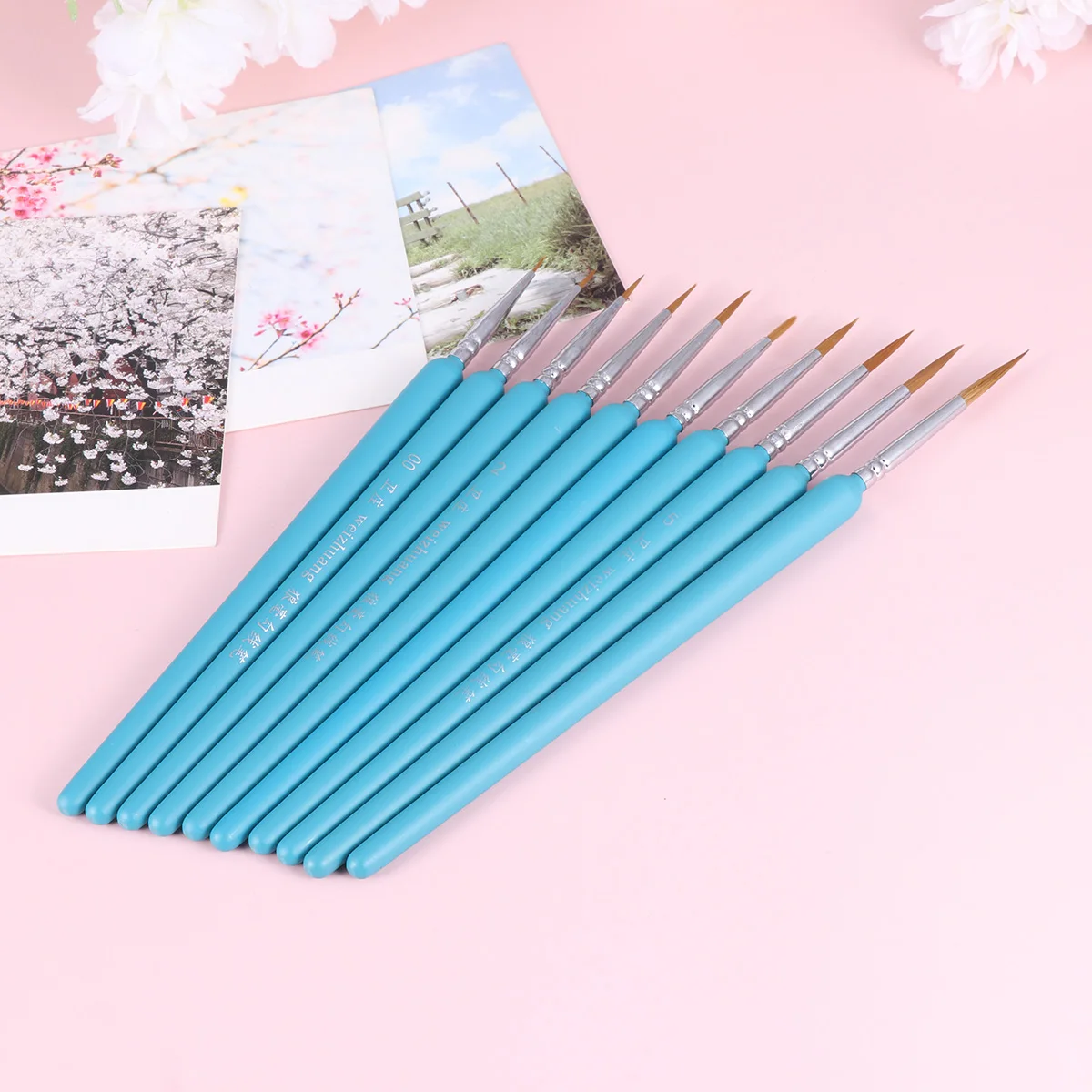 

10pcs 1 Set of Wolf Hair Tip Professional Detail Paint Brush Fine Detailing Painting Drawing (Sky-Blue)