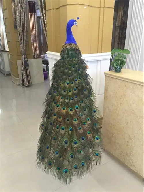 

Customized simulation peacock ornaments, specimens, animal models, handicrafts, home, living room, window decorations, wedding