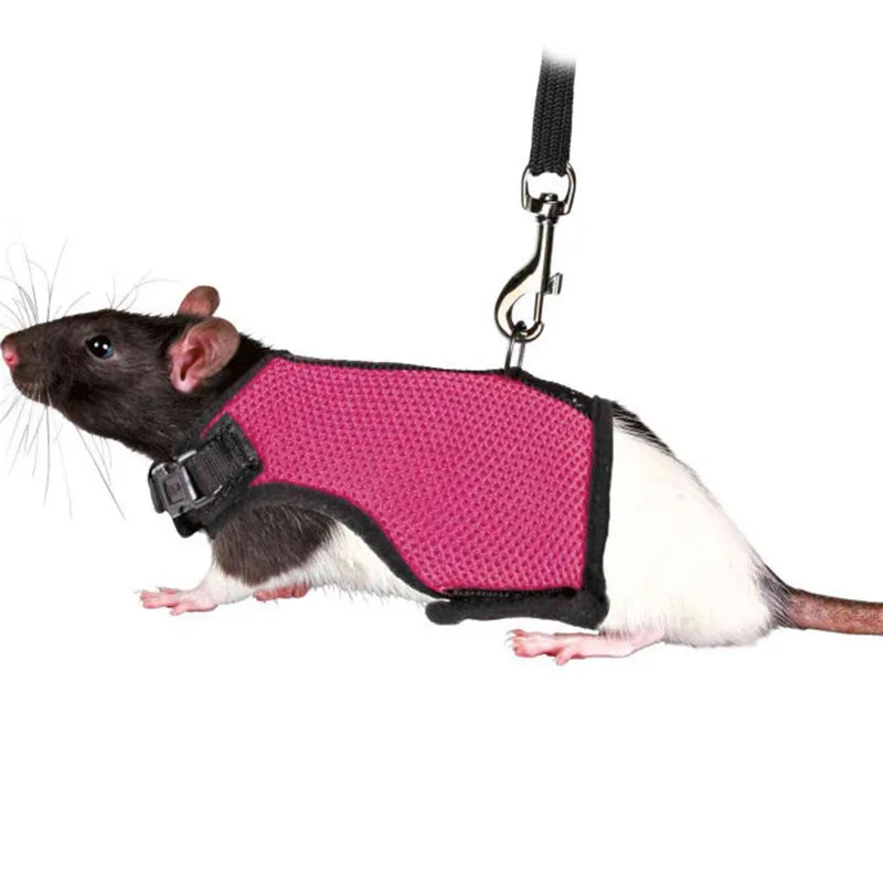 Summer Guinea Pig Hamster Ferret Leash Breathable Mesh Rabbit Pet Harness Bunny Accessories for Cats Cosas Para Animales Reales