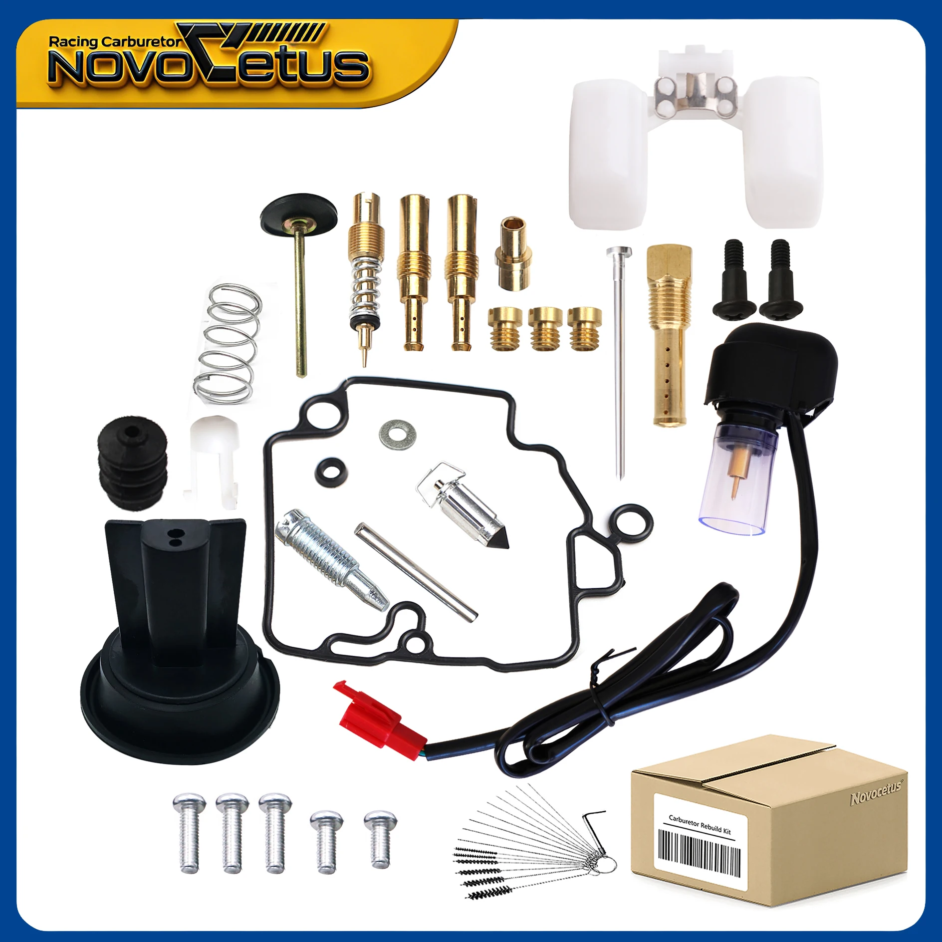 [Novocetus] Fit For…