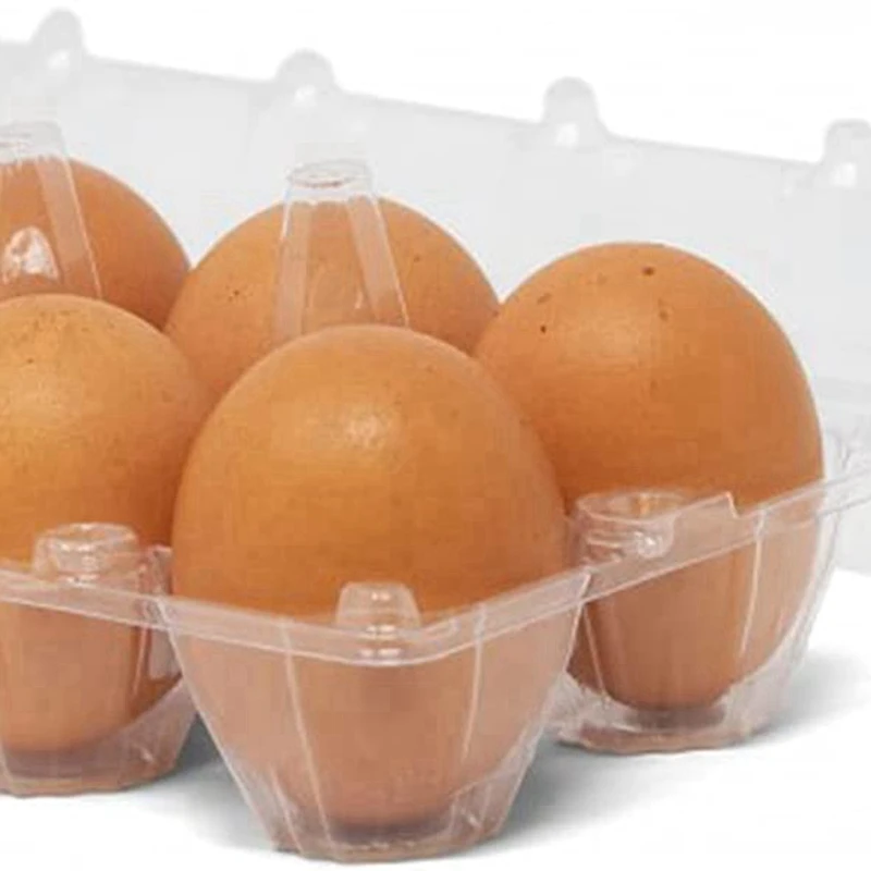 60 Pack Plastic Egg Cartons Cheap Bulk One Dozen Clear Empty Egg Cartons For Chicken Eggs