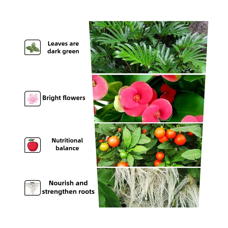 50/500 جرام البستنة المنزلية المخمرة الأغنام السماد كعكة السمسم المخمرة للزهور والنباتات الخضراء الأسمدة العضوية