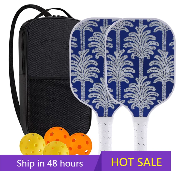 

YTYIN High Quality Portable Fiberglass Pickleball Racket Set Multi-Functional for Training & Leisure Sports for Entertainment