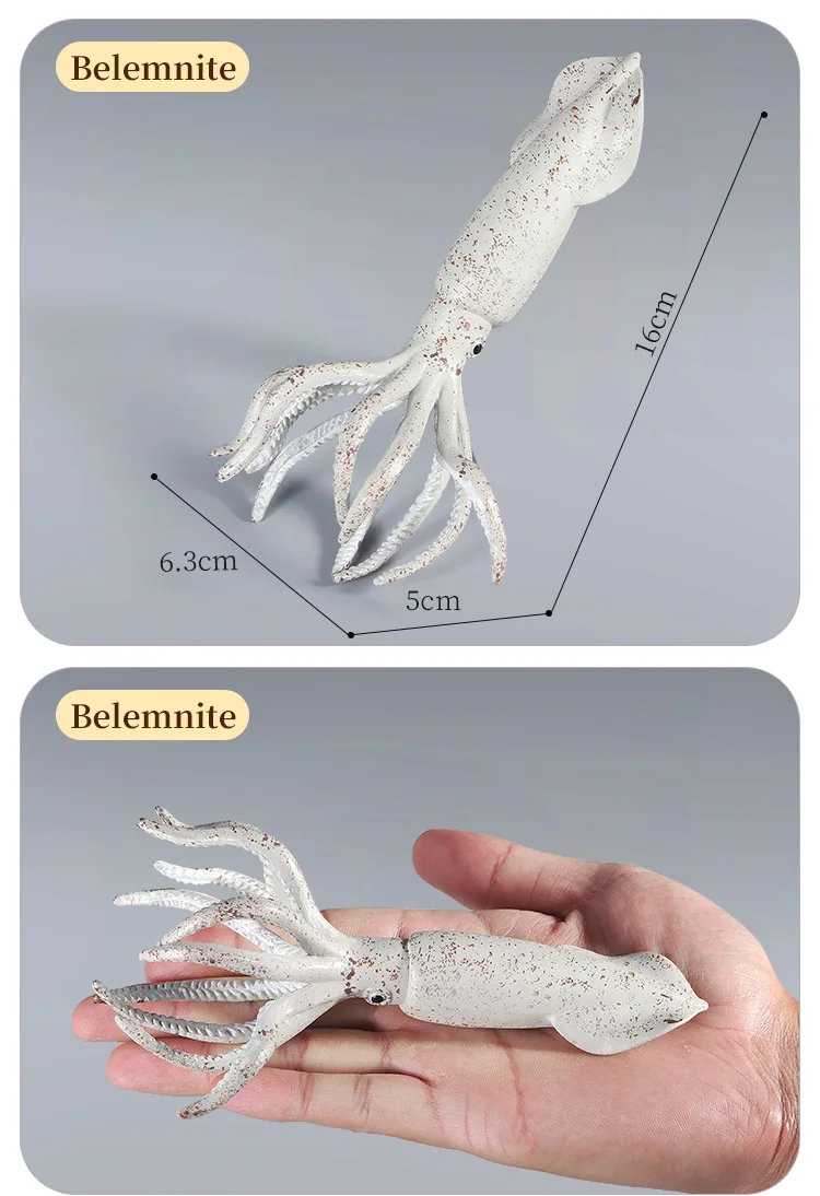 Pädagogische Marine Molluscs ModelToys – Simulation Tintenfisch Oktopus Wachstumszyklus Actionfigur für Kinder Sealife Animal Collection – Detail 8