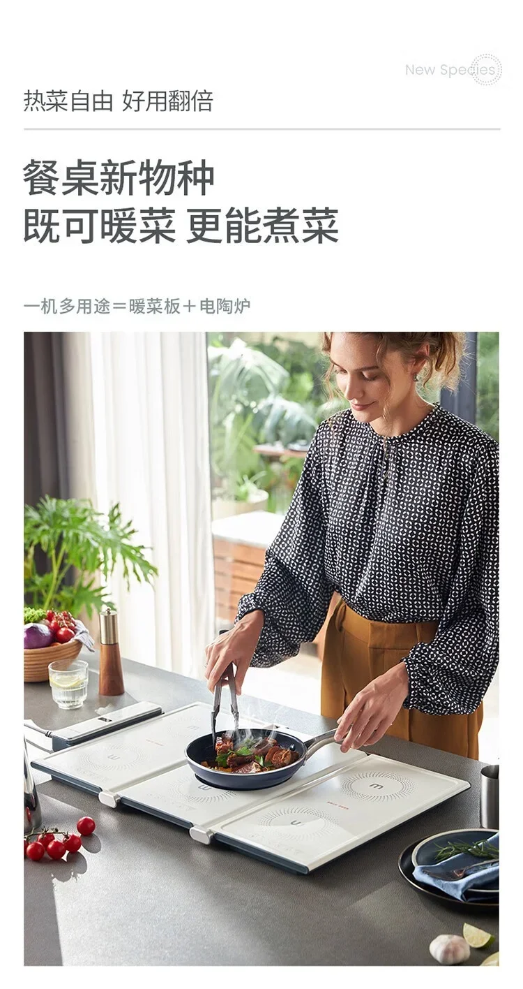 MORPHY-Planche chauffante pliante, plaque isolante multifonctionnelle, adaptée aux virus, aux pagnes domestiques, 220V