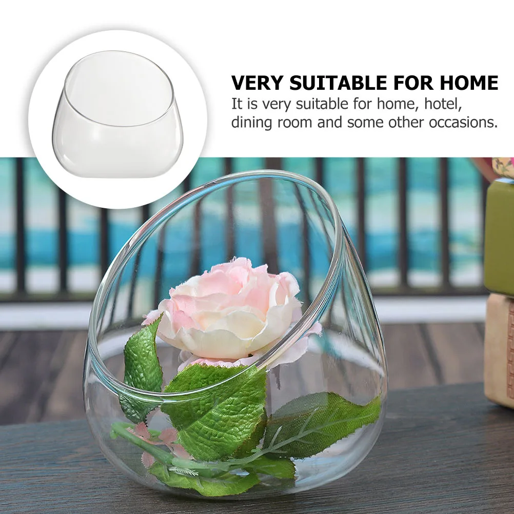 

2Pcs Transparent Micro Landscape Bottle Premium Glass Succulent Vase for Home Decor Kitchen Organizer Stone Display Pot