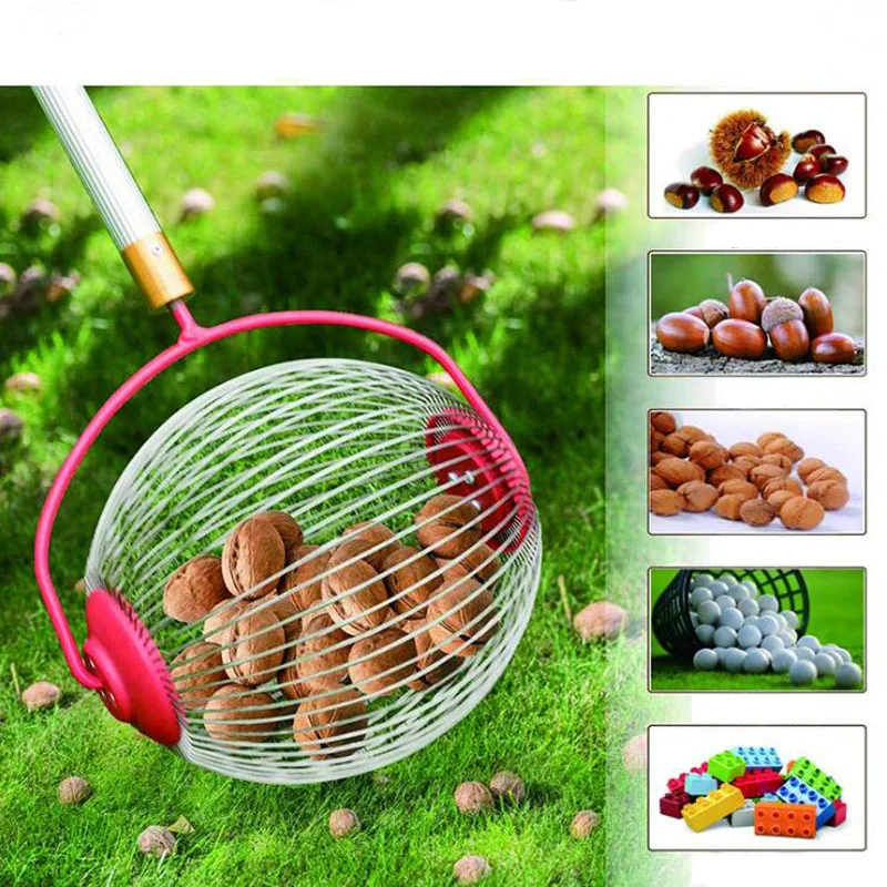 Walnut Chestnut Gatherer Catcher Adjustable Garden Picking Tool Fruit Picker Collector Harvester Nut Collector