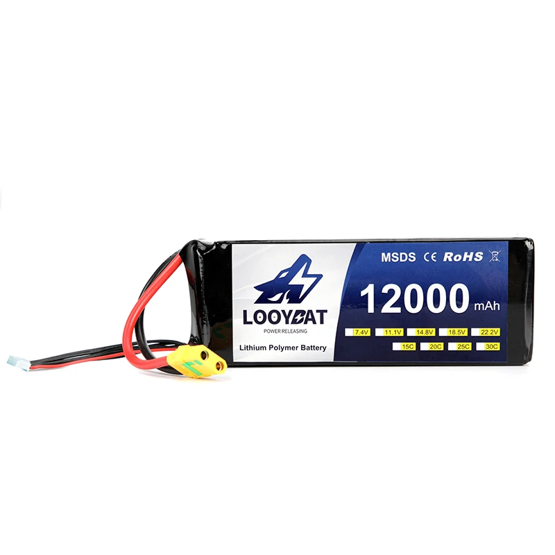 

Free Sample Rechargeable 12v 24v 3S 6S Lithium Ion Battery Packs Lithium Polymer Battery 12Ah 12000mAh