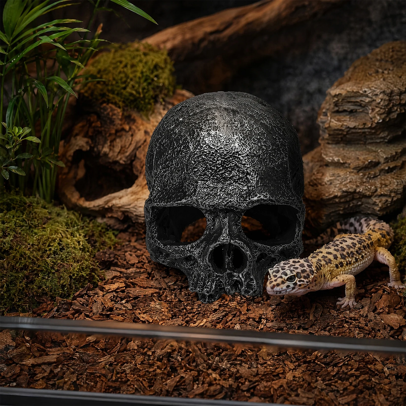 Skeleton Reptile Hideout Halloween Landscape Decor Fish Tank Skeleton Ornament for Juvenile Ball Python Gecko for Tarantula