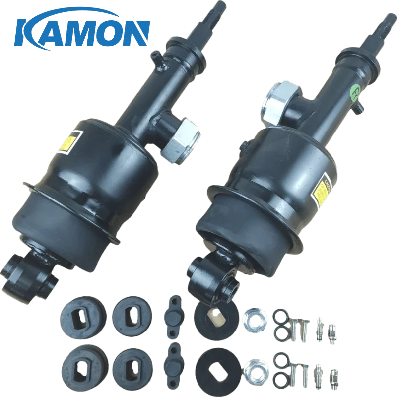 

Pair for Infiniti QX80 QX56 2014-2021 Rear Air Strut Hydraulic Shock Absorber E6211-1LA7B E6210-1LA7B
