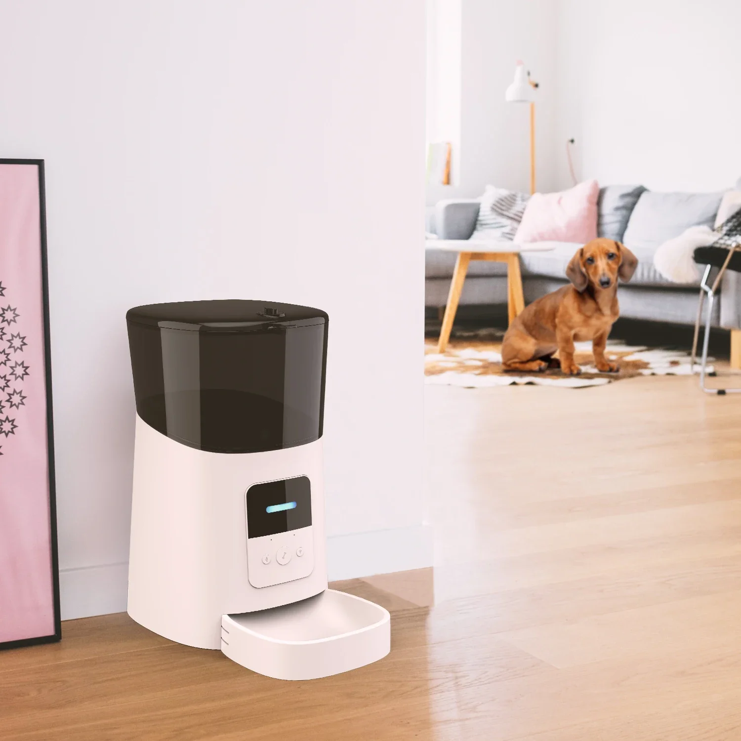 New Arrival hot sell 6L capacity modern pet feeder wifi connection 15 meals smart pet feeder for dog cat