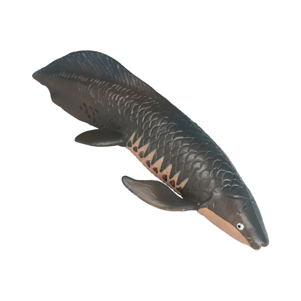 Simulated Arapaima Simulation Marine Animal Model Toy Decor Children Educational Cognitive Toys Plastic Fish Adornment