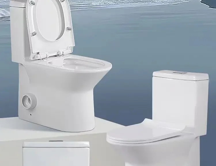 Household Wall Drainage Left Row Right Row Small Apartment Toilet Siphon Deodorant Anti-Freezing One-Piece Toilet