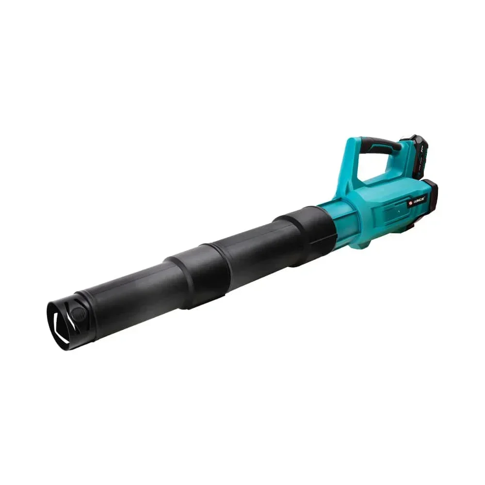2026/Liangye Hot Seller Portable Strong Powerful 40V Cordless Leaf Snow Blower for Garden Yard