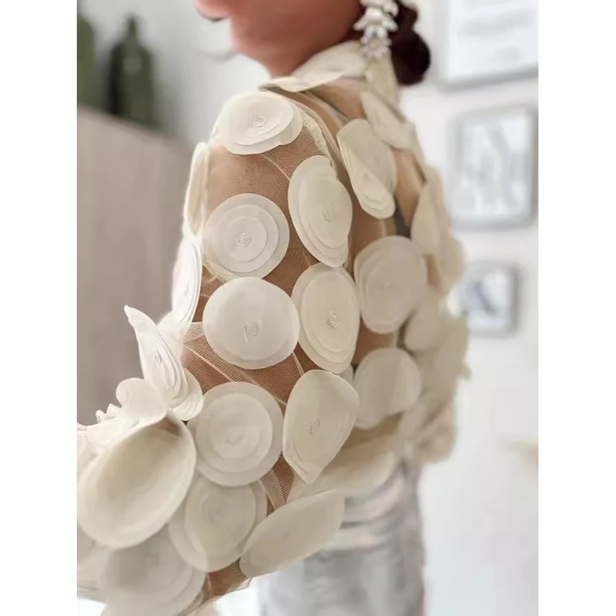 

Женская блузка с вышивкой и длинными рукавами, кружевная, прозрачная, сексуальная, прямого кроя, кардиган, весенняя мода