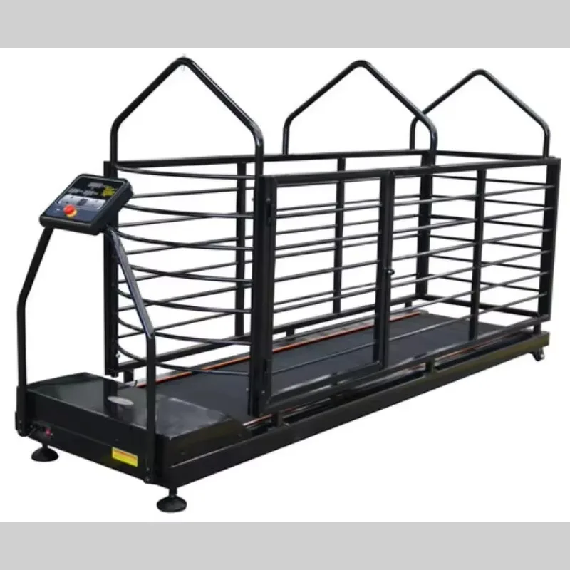 

Premium Quality Oversize Dog Gym Agility Equipment Pet Training Supplies-Dog Treadmill for Exercise and Fitness