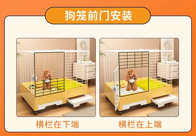 Petit chien Teddy FN...