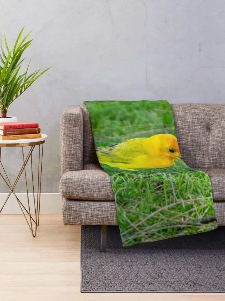 Saffron Finch Looks for Food Throw Blanket Plush blankets and throws Multi-Purpose Heavy Blankets