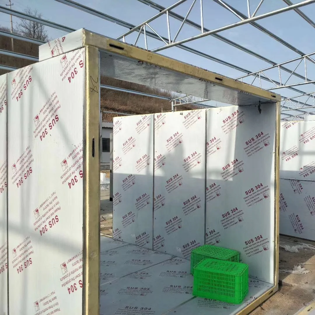 Commercial Automatic Electric Heat Pump Dryer Drying Machine Spices Noodles Fruit Fish Chips Farm Food Processing