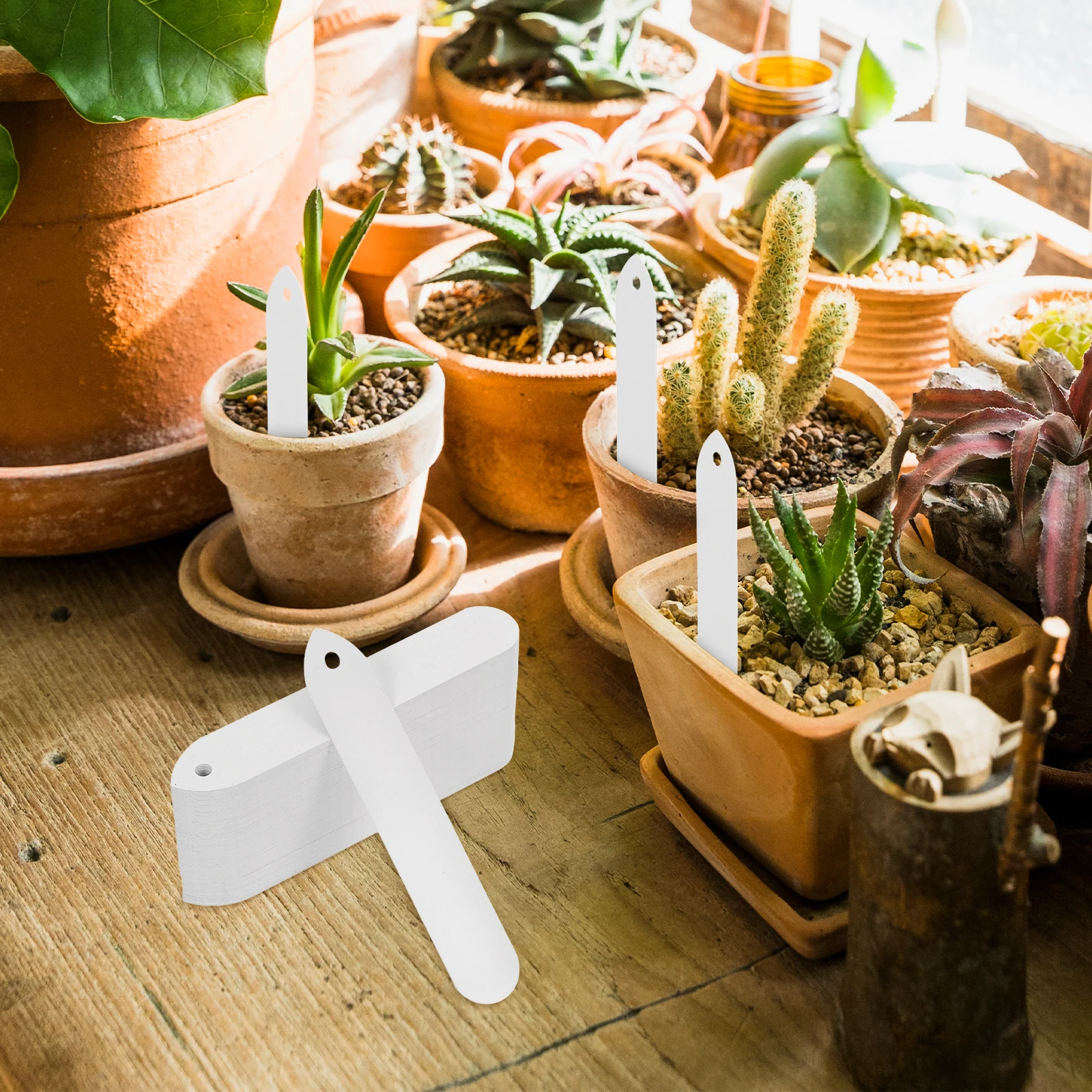 

100 Pcs Garden Plant Labels Stakes Markers Durable Waterproof PVC Plastic Flower Herb Seedling Identifier Tags