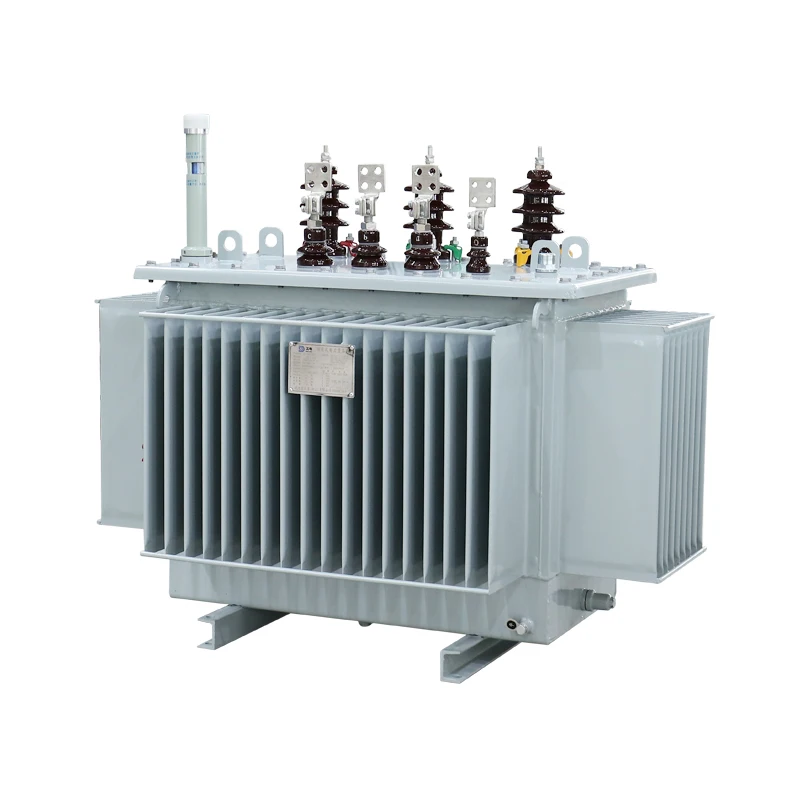 Copper or Aluminum Winding Oil Immersed Transformer S20 S21 100kVA to 1600kVA 11kV 400V Customized Supply