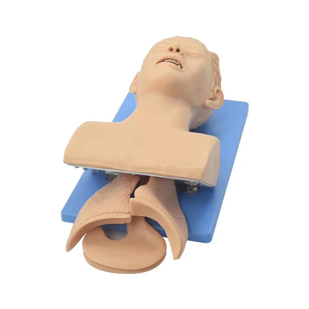 Intubation Manikin Study Teaching Model Airway Management Trainer PVC With Teeth 110-220V