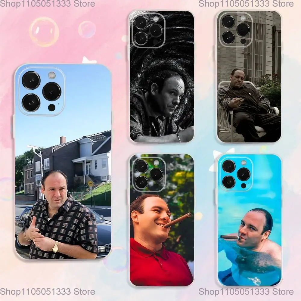 

The S-Sopranos TV Tony SopranoS Phone Case For iPhone 17,16,15,14,13,12,11 Plus,Pro,Max,XR,XS,Plus,E,SE4,Mini Transparent Cover