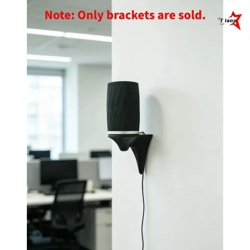 Space Saving Living Room Speaker Holder for B&W Formation Flex Wireless Audio Swivel Adjustable Metal Wall Bracket
