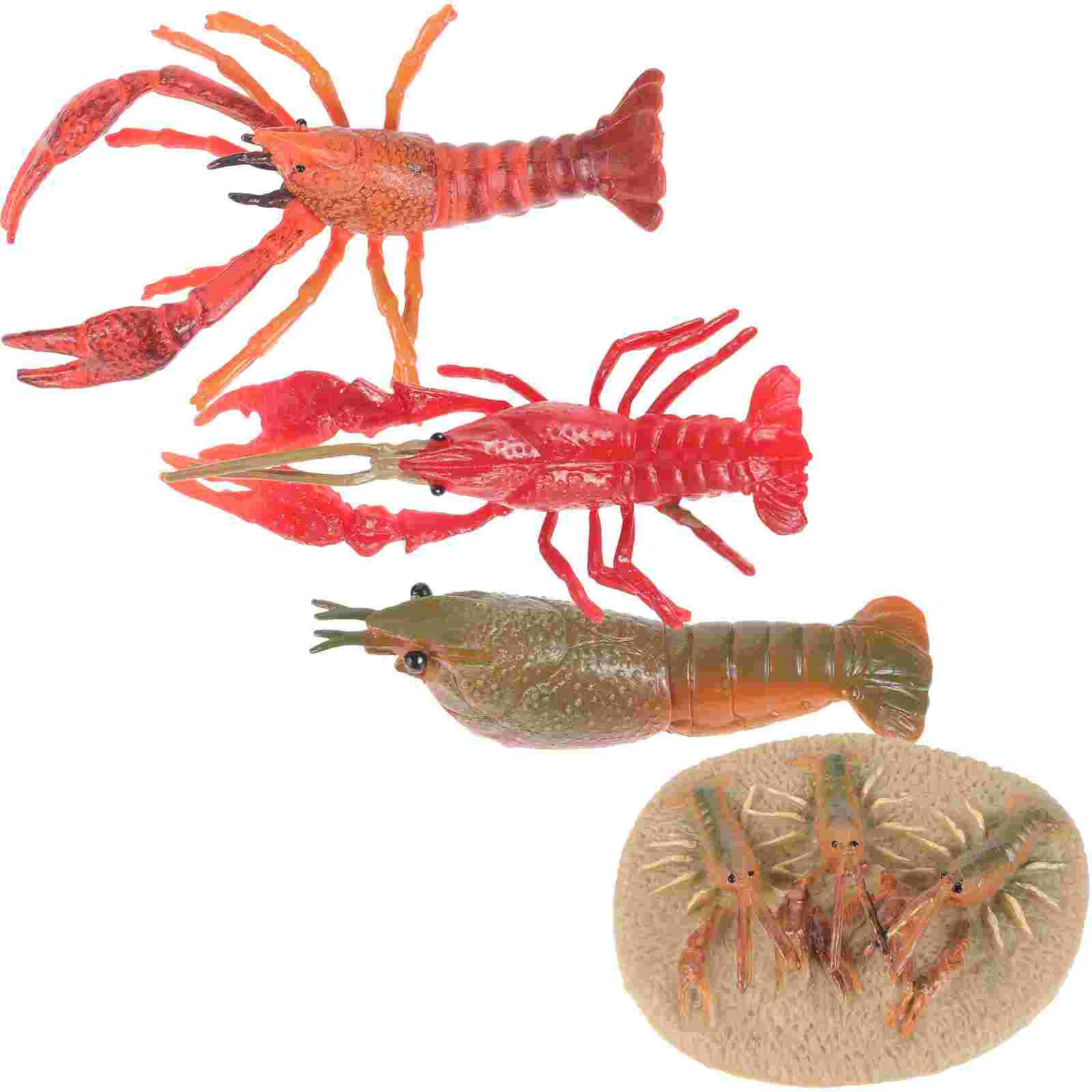 Animal Model Lobster Growing Cycle Models Life Toys Funny Educational Simulated Simulation Figurines Teaching Props