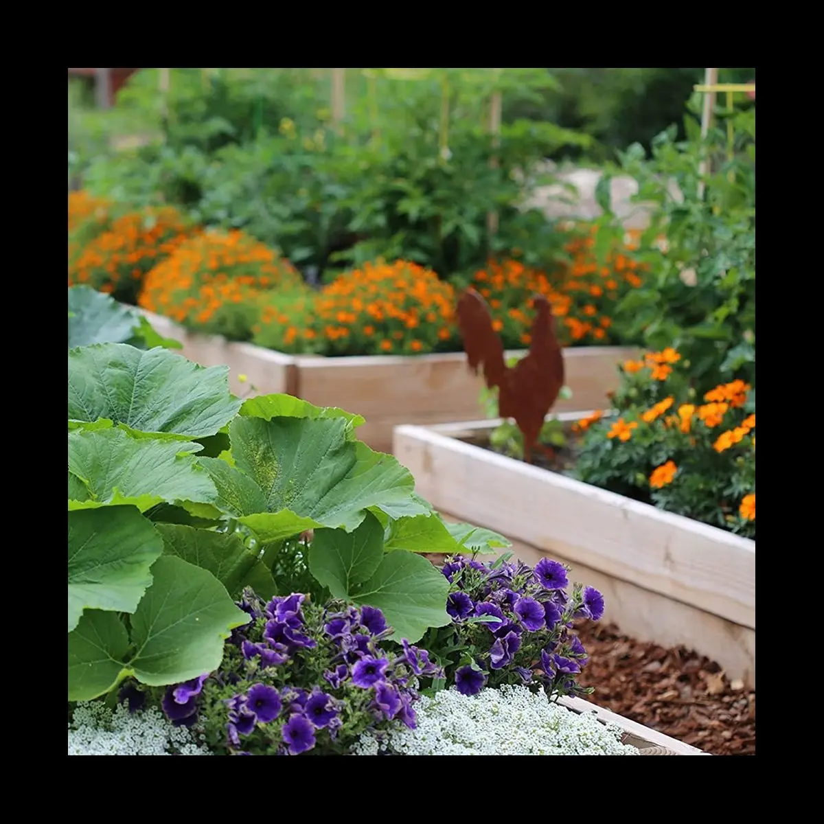 10X Garden Weeding Barrier Landscape Fabric Durable&Heavy-Duty Weeding Block Gardening Mat,4Ft x 50F