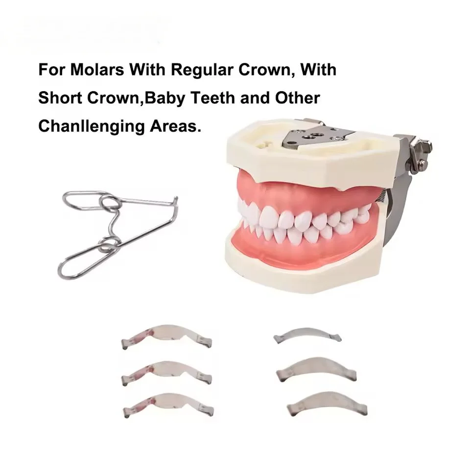 Dental Sectional Contoured Metall Matrizen Matrix mit Federclip Nr. 1.330 Band Harz Klemmung/Sepertierung Ring Zahnarzt Werkzeuge – Detail 7
