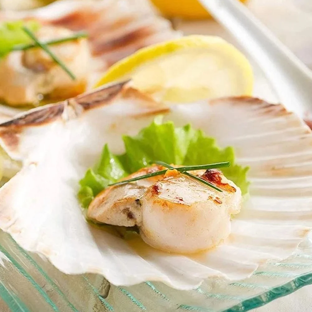 16Pcs Flat Natural Shells Large Scallop Crafts DIY Painting Supplies for Home Decor Ocean Themed Party Decoration