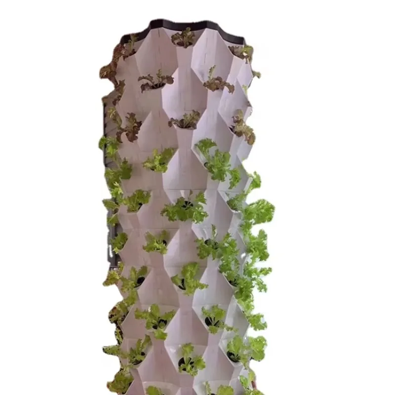 

Садовая теплица Крытая аэропоника Растущие башни Коммерческая вертикальная гидропоника Система для сельского хозяйства