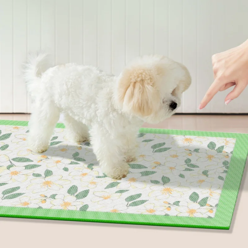 100/50/20 Stuks Absorberende Honden Luiers Wegwerp Puppy Training Plas Pads Snel Droog Camellia Oppervlaktemat Schoon Kussen