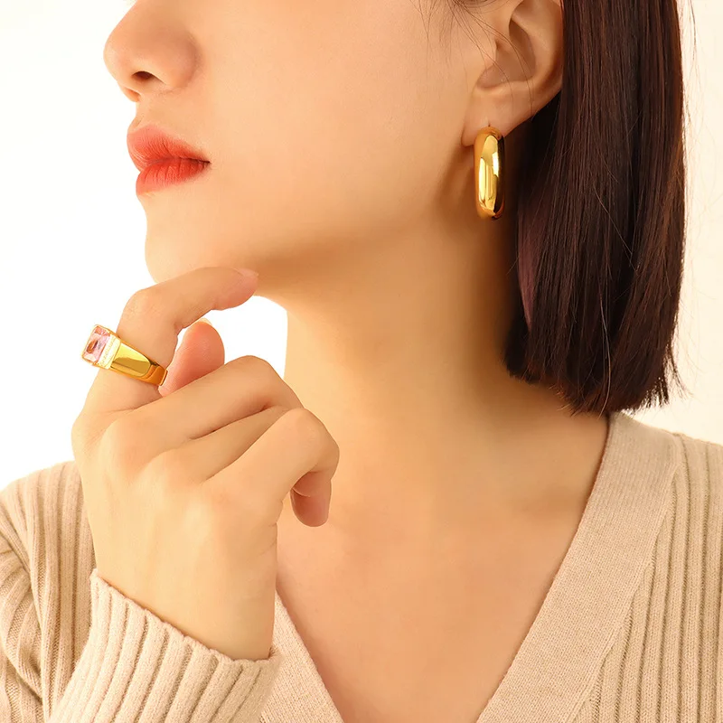 Ins Style Ornament U-Shaped Geometric Earrings for Women 2023 New Non-Fading Temperament Titanium Steel Gold-Plated Stud Earring
